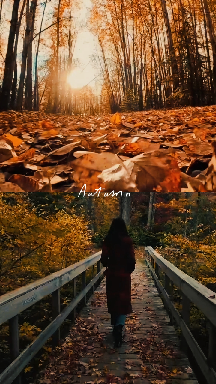 Fall Season 