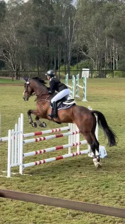 atty in the 1m