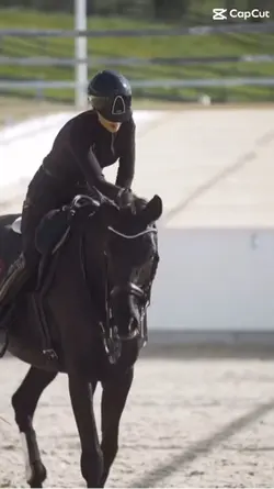 Dressage edit