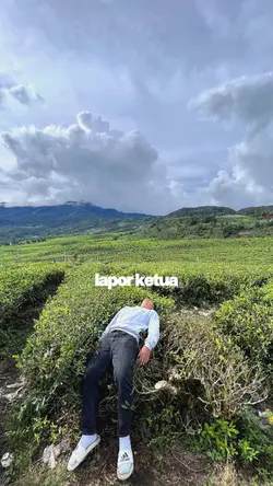 lapor ketua