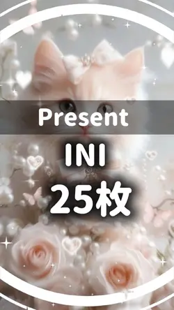 Present / INI