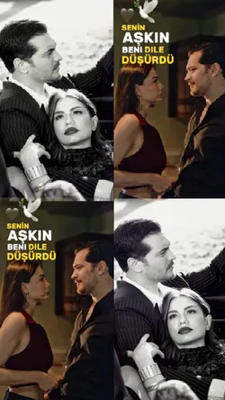 Seni Sevdim Ben..