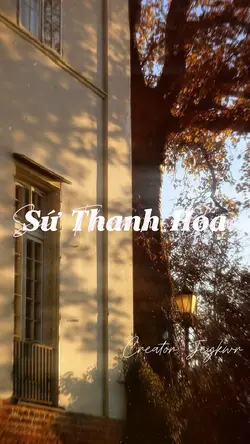 Sứ Thanh Hoa - 青花瓷