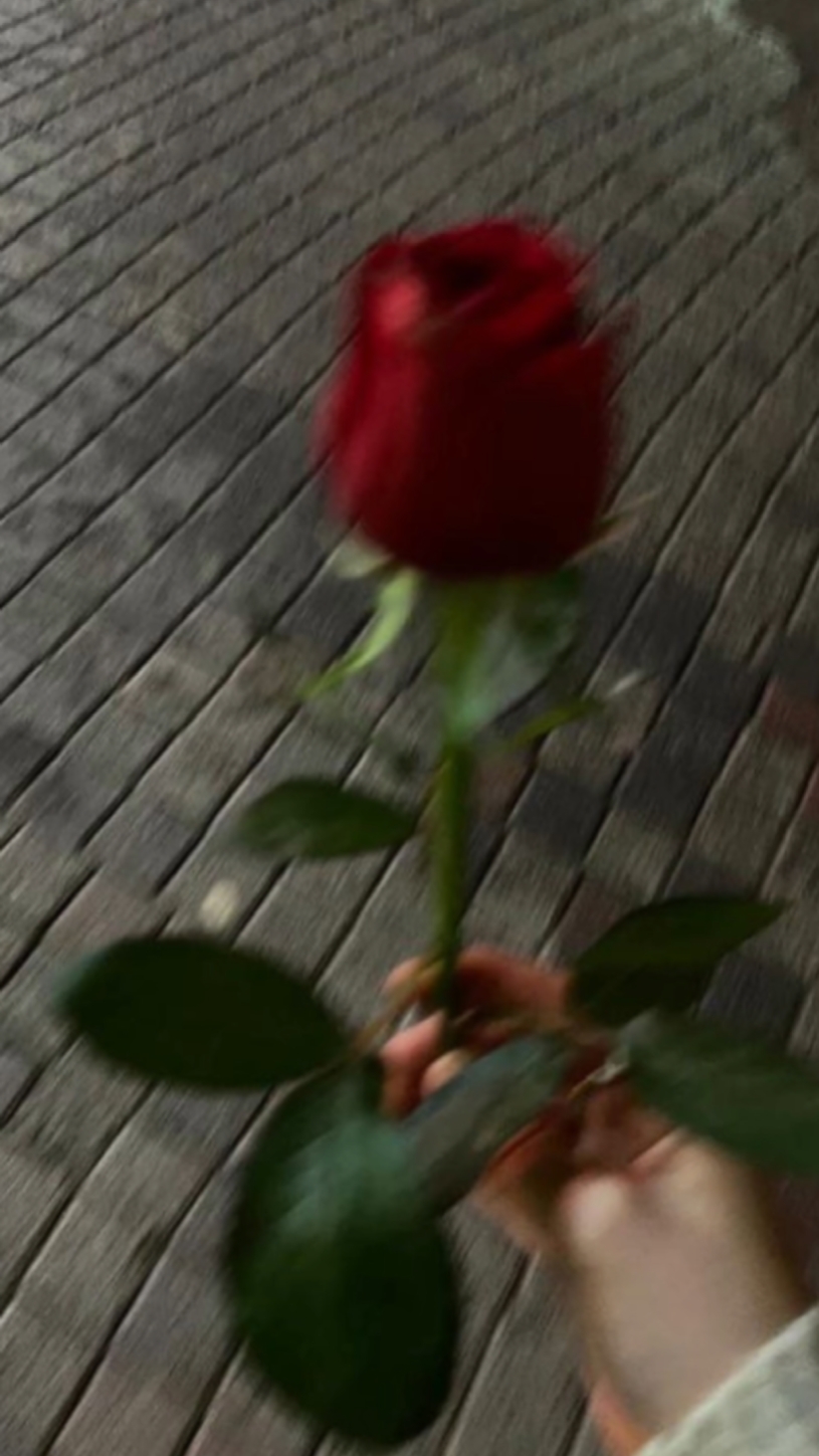 لافي بينا لا عشرة 