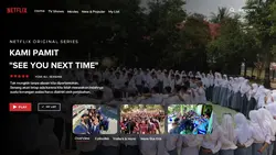 Netflix Story