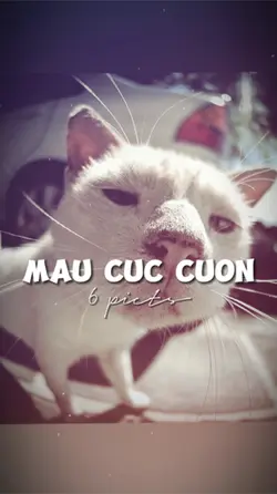 6 ẢNH GIẬT NHẸ 