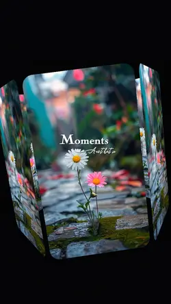 Aesthetic Moments