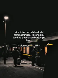 one piece quotes