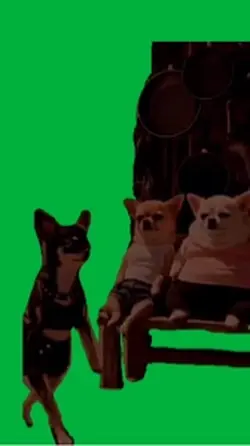 Meme