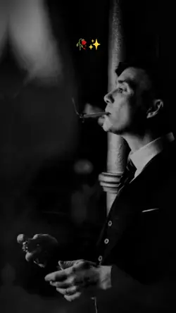 Taladro Dokuz Mevsim