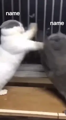 이름 넣기!