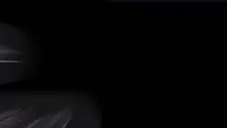 🎶♡ リナリアが咲いて