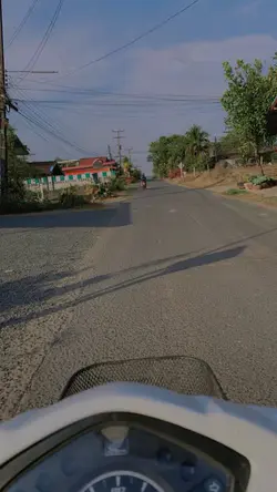 ອະໄວຍະວະທີ 33MP-HIT, 