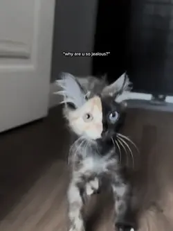 jealous
