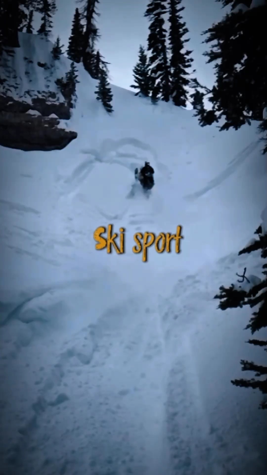Skisport 