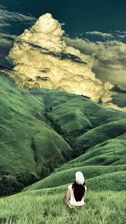 fine
