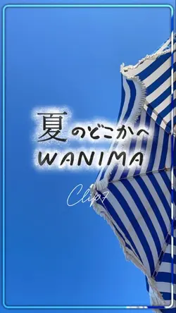 夏のどこかへ/WANIMA