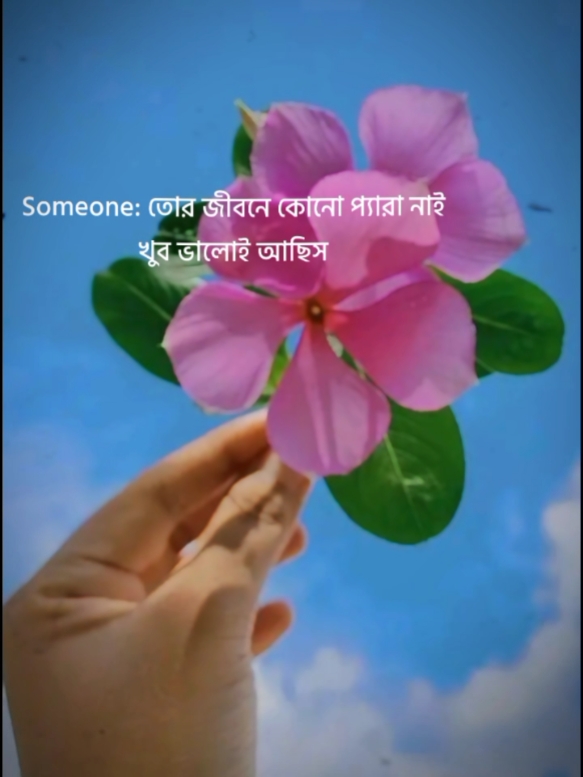 Feel this song