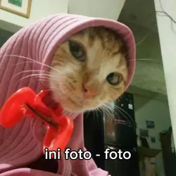 Meme lucu 