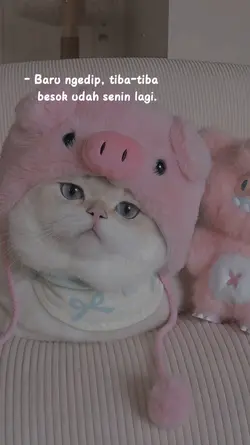 besok senin