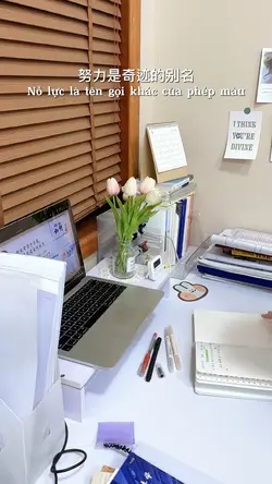 1 video động lực