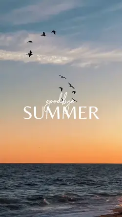 summer dump