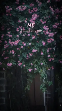 điều đầu tiên con