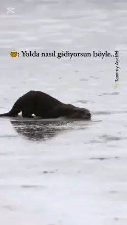 Süzülerek