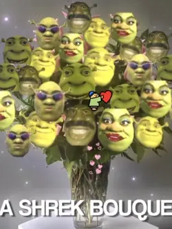 Shrek bouquet 
