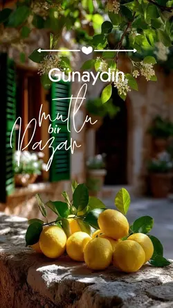 Pazar