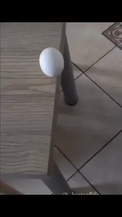 New template for egg