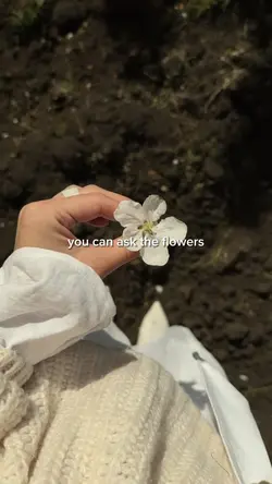 you can ask flowers