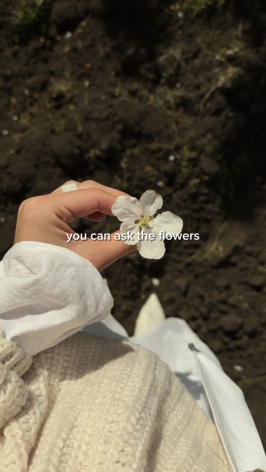 you can ask flowers