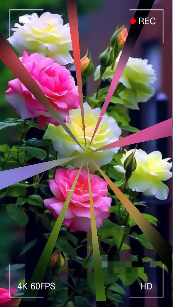 Flor