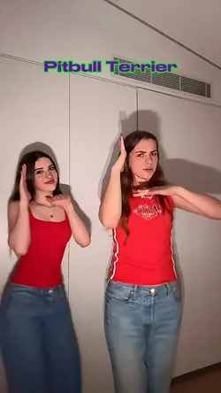 Pitbull Terrier!❤️❤️❤️