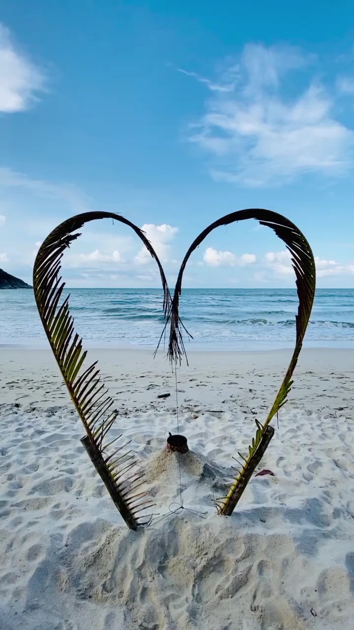 Terima kasih untuk hari ini