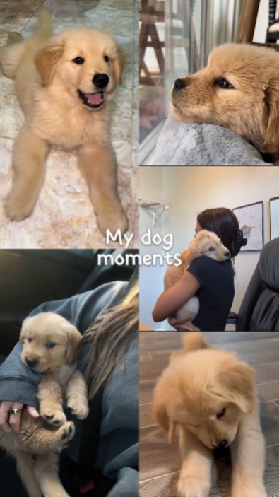 Meine Hundemomente