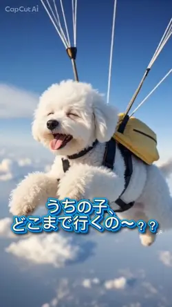 うちの子、どこまで行くの〜？？