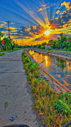 FILTER HD