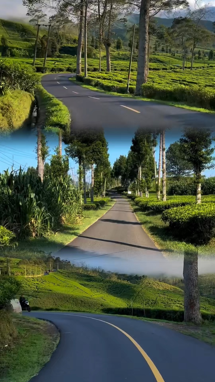 3 video di gabung