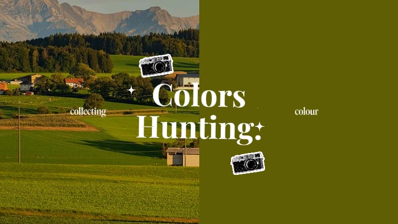 Chasse aux couleurs