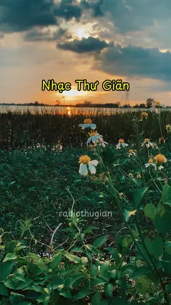 Nhạc Thư Giãn