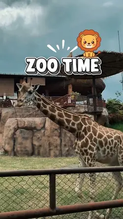 Zoo time