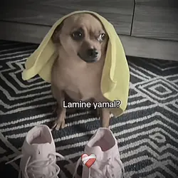 Heart Trend❤️‍🩹