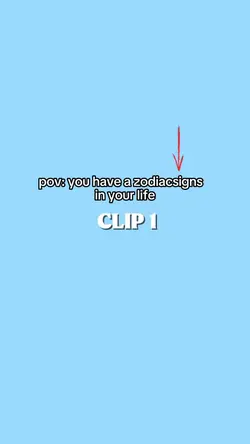 pov your zodiac sign