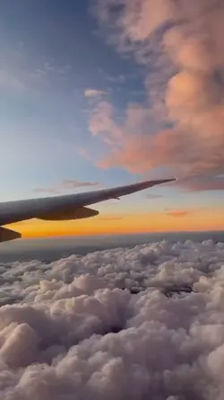 Baby Perfect | 15vid