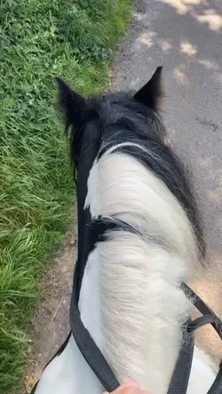 Slo mo template 