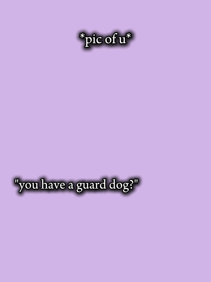 guard dog