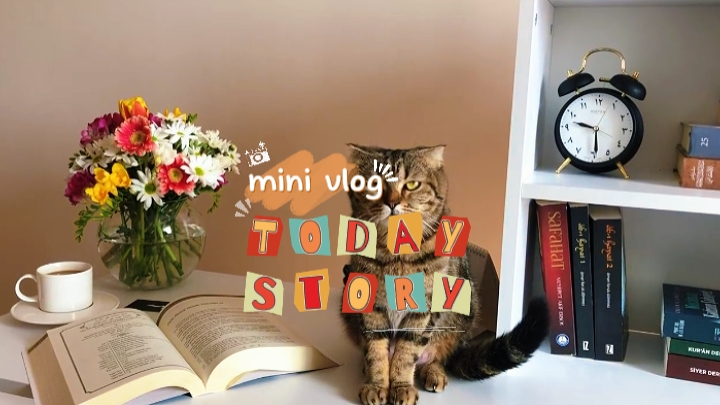 Mini Vlog 