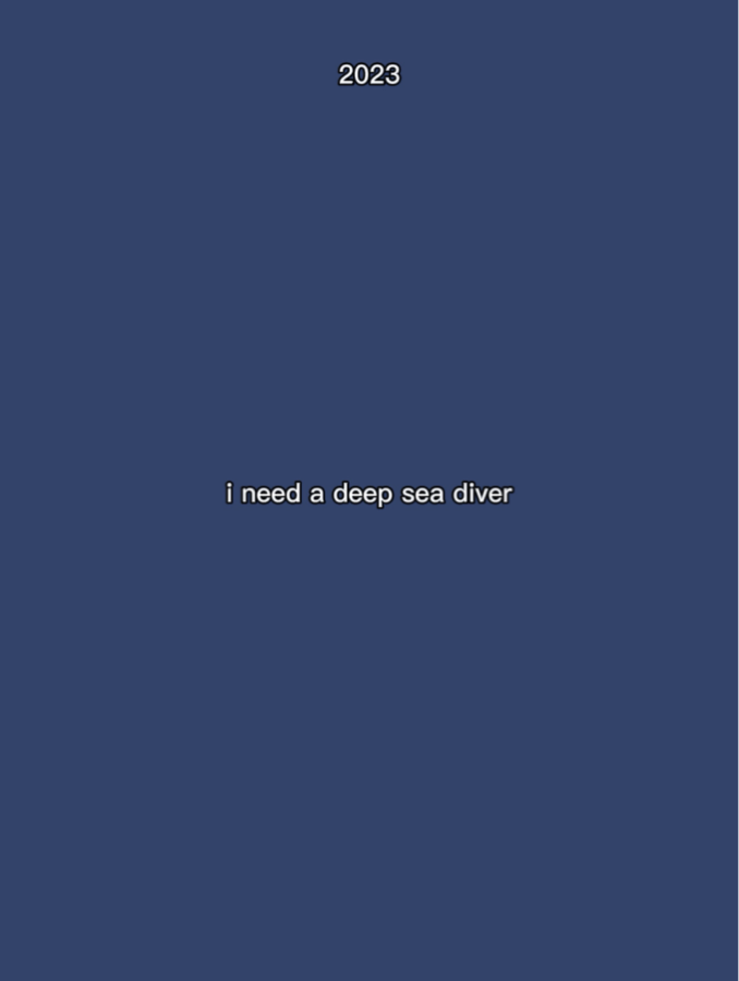 sea diver 